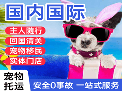 敦煌莫高航空空运国际宠物托运 【国